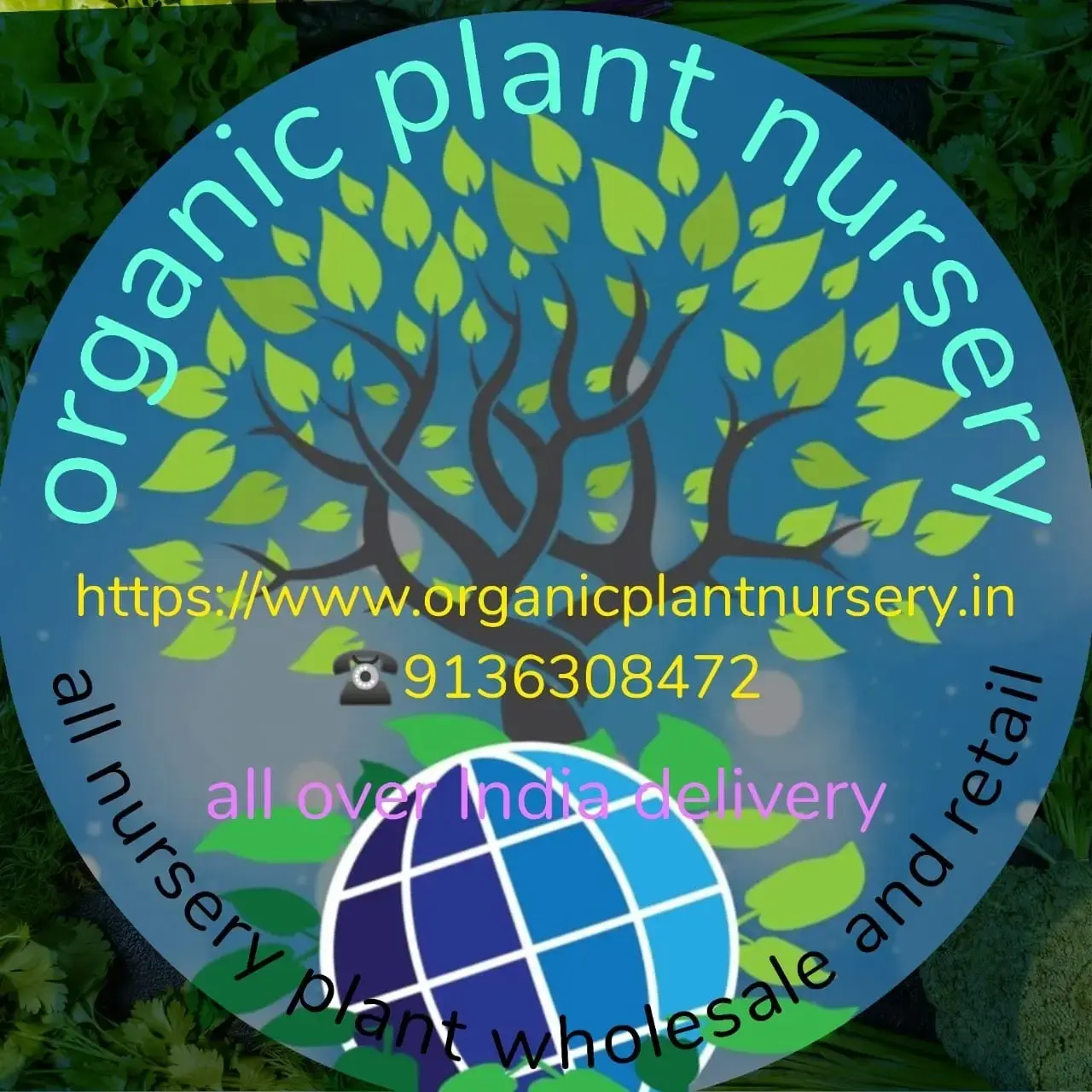 store logo